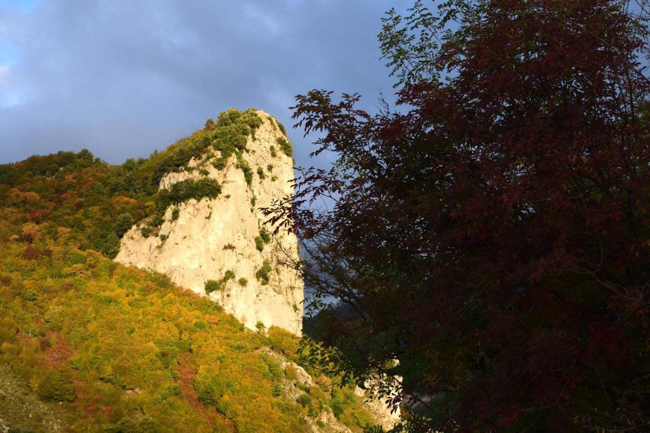 B&B Il Conte Olevano sul Tusciano Esterno foto