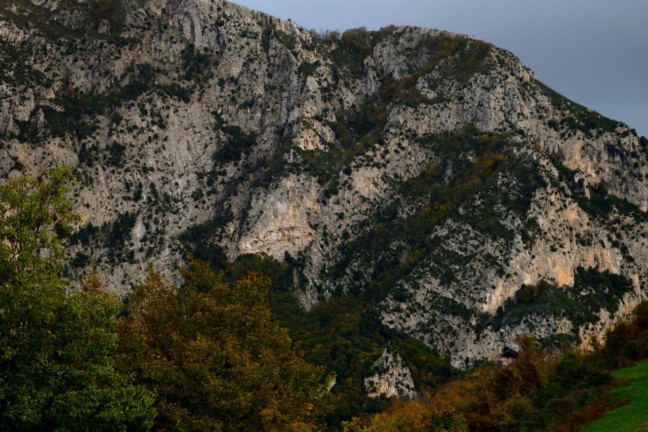 B&B Il Conte Olevano sul Tusciano Esterno foto