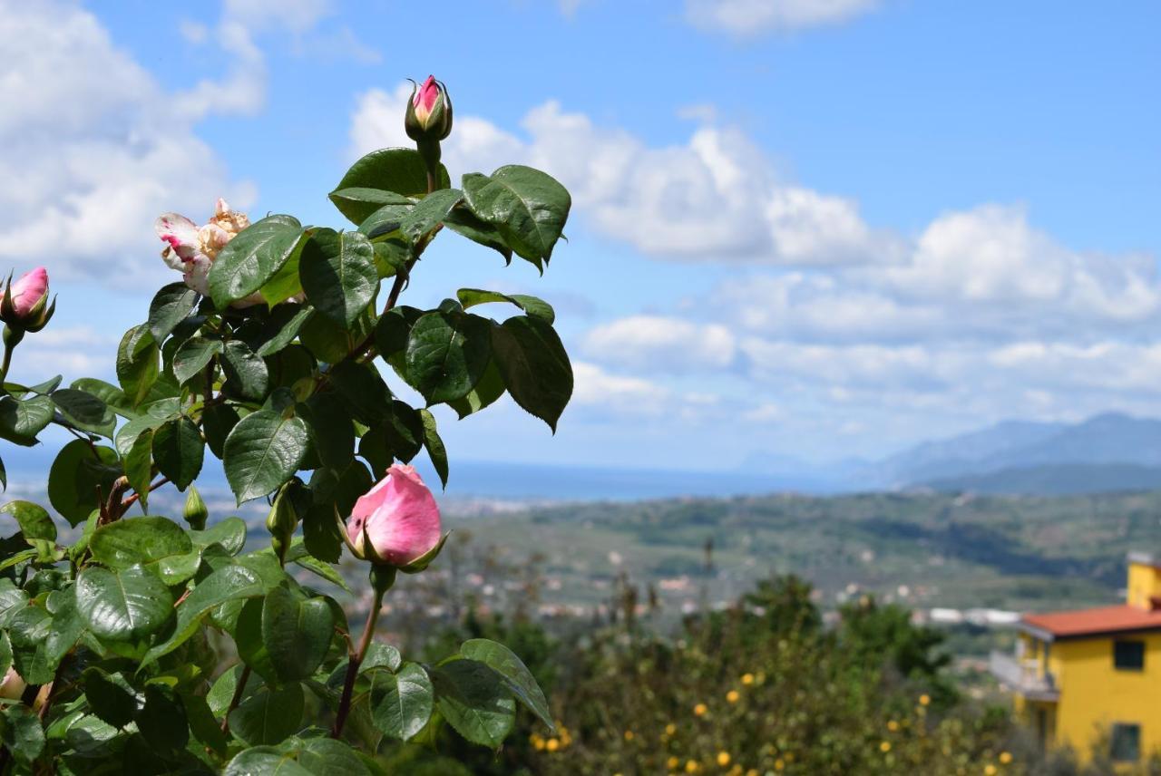 B&B Il Conte Olevano sul Tusciano Esterno foto